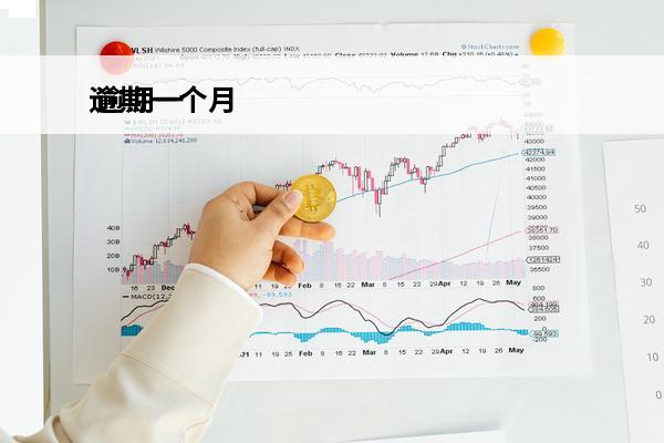 逾期一个月
 逾期一