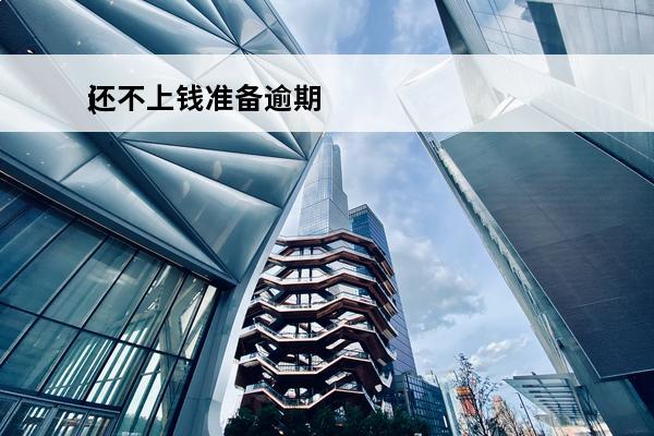 还不上钱准备逾期
(还不上钱准备逾期会怎么样)