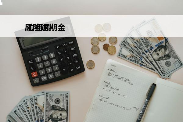 风险逾期金
 逾期风险等风险情况