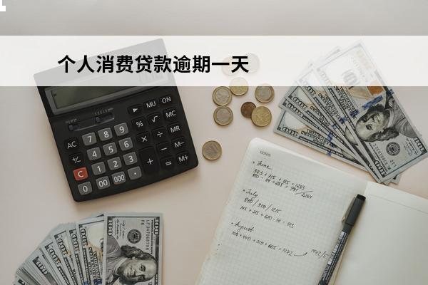 个人消费贷款逾期一天