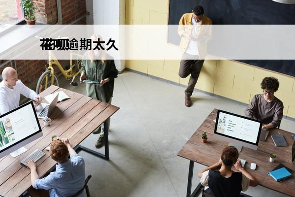 花呗逾期太久
 花呗逾期太久用不了要怎么才能继续使用