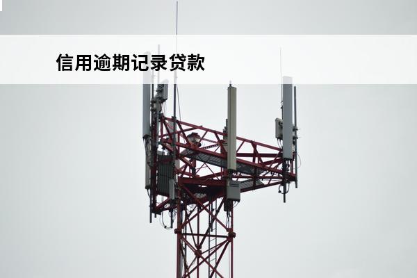 信用逾期记录贷款
 