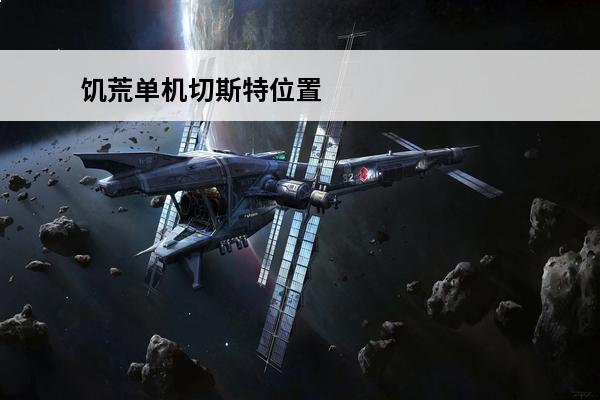 饥荒单机切斯特位置 