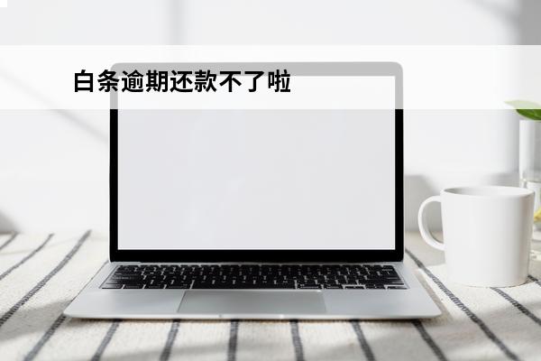 白条逾期还款不了啦
