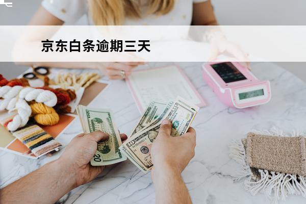 京东白条逾期三天
 京东白条逾期三天上征信吗