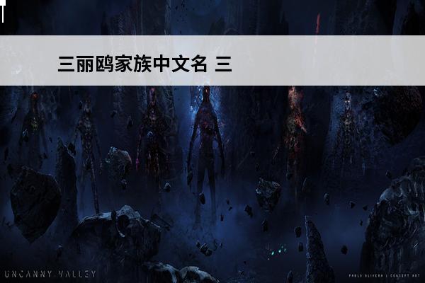 三丽鸥家族中文名 三