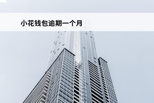 小花钱包逾期一个月
(小花钱包逾期一个月自己提示还款成功了)