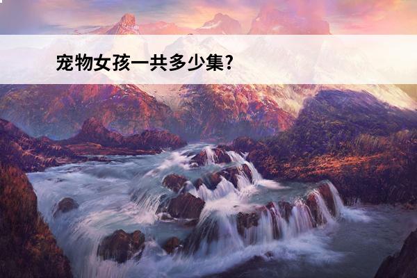 宠物女孩一共多少集? 宠物小精灵剧场版一共出了多少集？