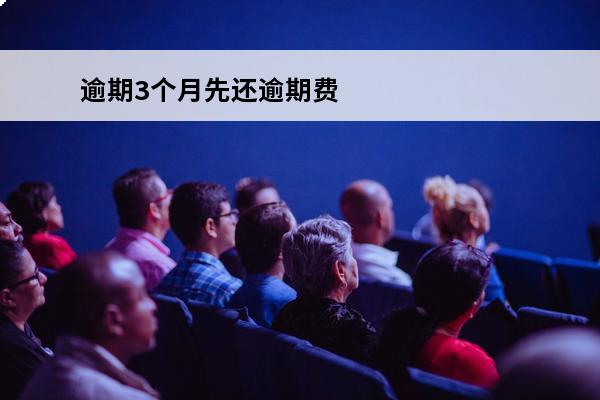 逾期3个月先还逾期费用
(逾期三个月后还款是先扣本金还是利息)