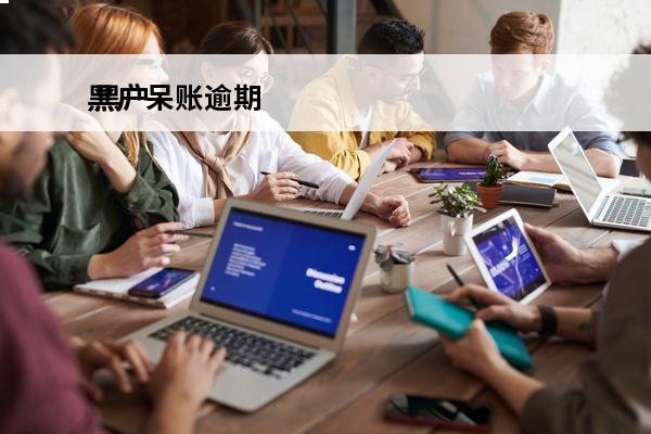 黑户呆账逾期
 黑户