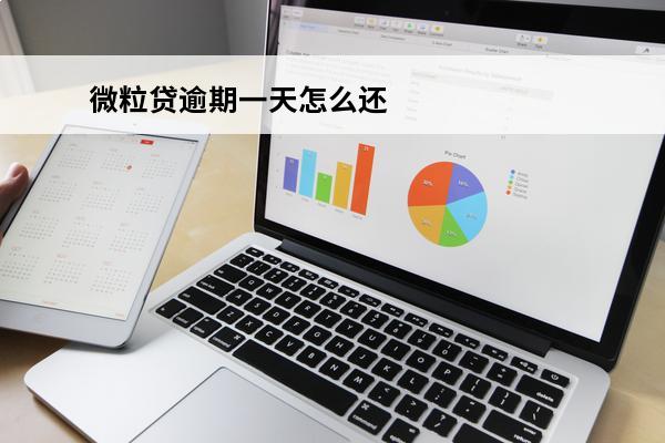 微粒贷逾期一天怎么还款
(微粒贷逾期一天怎么还款按不动还款按钮)