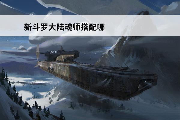 新斗罗大陆魂师搭配哪几个好一点 新斗罗大陆 新斗罗大陆最强输出阵容魂师如何搭配？