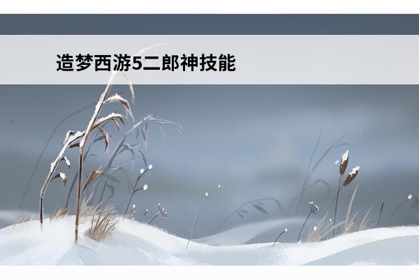 造梦西游5二郎神技能搭配 造梦西游5双人最佳搭配二郎神