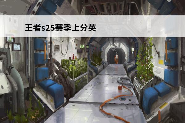 王者s25赛季上分英