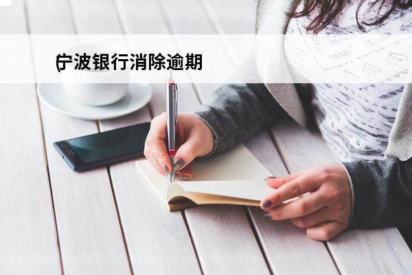 宁波银行消除逾期
(