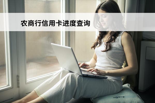 农商行信用卡进度查询