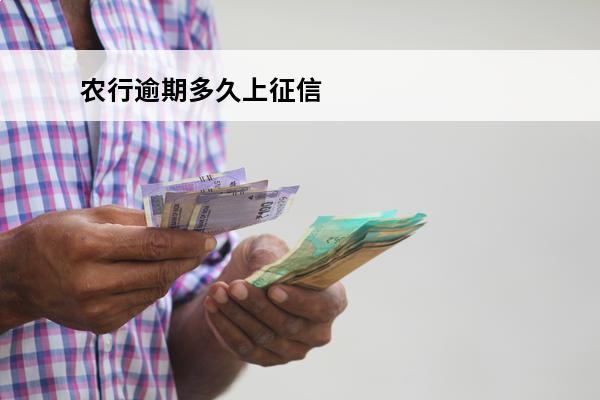 农行逾期多久上征信
(农业银行逾期还款多少天才会上征信)