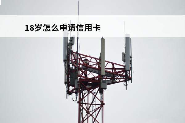 18岁怎么申请信用卡
 18岁怎样申请信用卡
