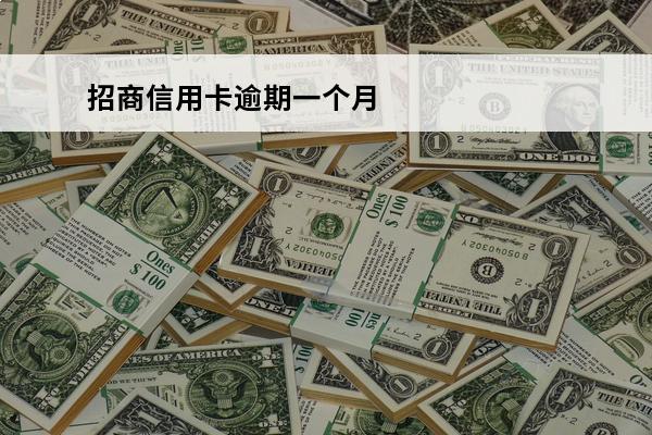 招商信用卡逾期一个月
(招商信用卡逾期一个月会寄信函吗)
