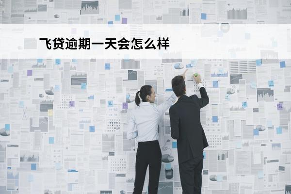 飞贷逾期一天会怎么样