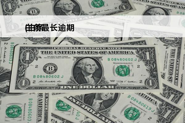 白条最长逾期
(白条
