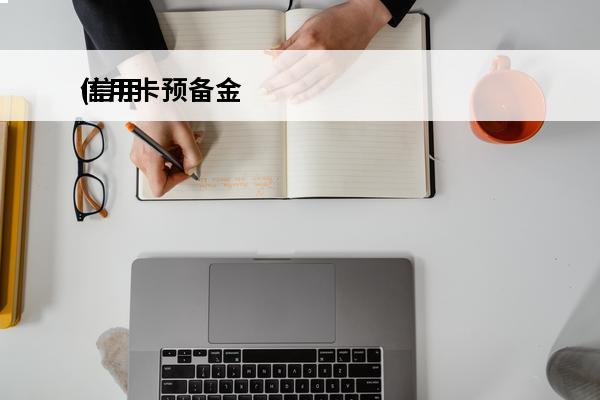 信用卡预备金
(信用
