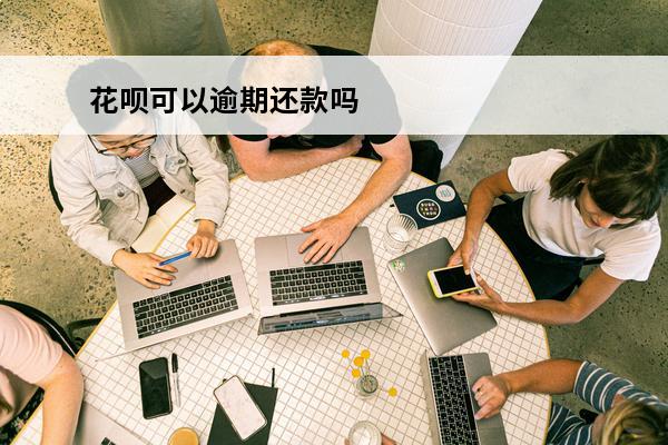 花呗可以逾期还款吗
