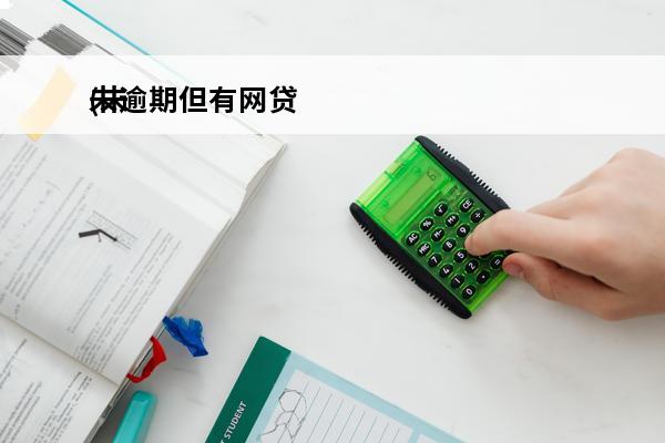 未逾期但有网贷
(未