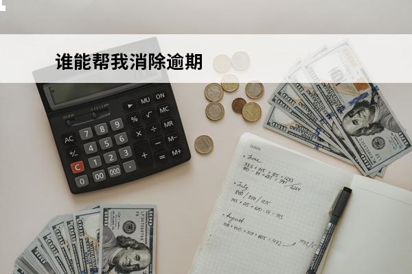 谁能帮我消除逾期
 