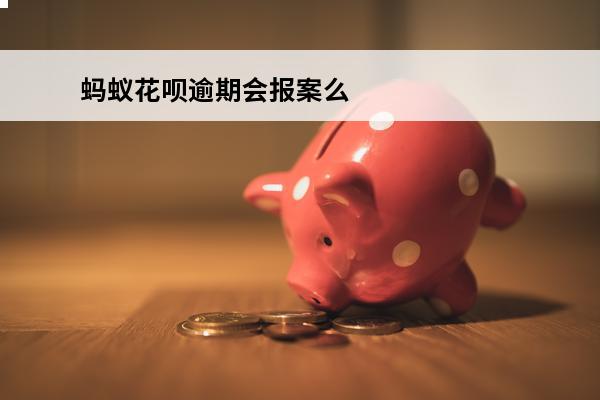 蚂蚁花呗逾期会报案么