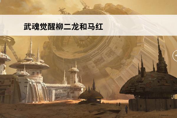 武魂觉醒柳二龙和马红