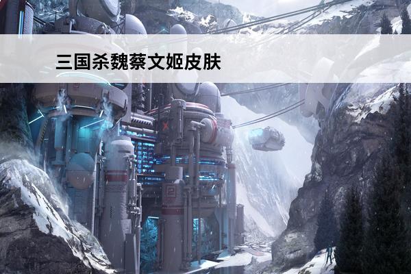 三国杀魏蔡文姬皮肤 