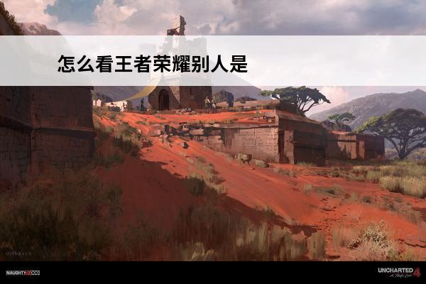 怎么看王者荣耀别人是