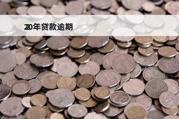20年贷款逾期
 2020年贷款逾期怎么办