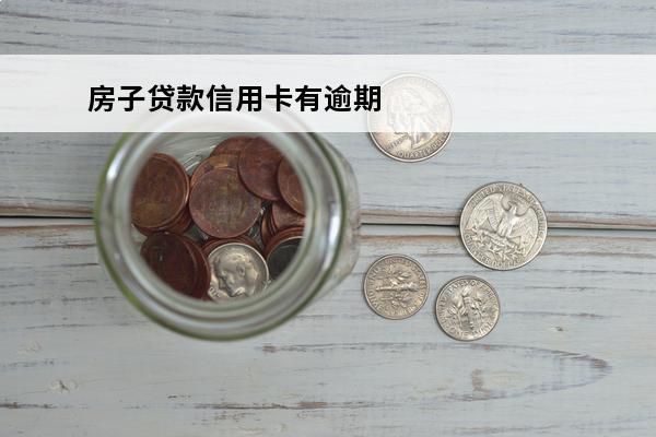 房子贷款信用卡有逾期