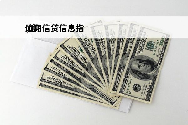 逾期信贷信息指
(逾