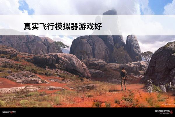 真实飞行模拟器游戏好