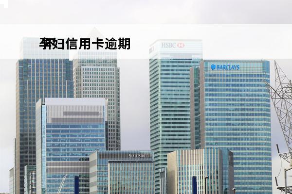 孕妇信用卡逾期
 怀