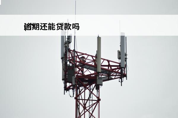 逾期还能贷款吗
(个