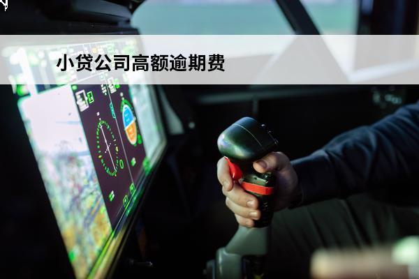 小贷公司高额逾期费
(小贷公司高额逾期费合法吗)