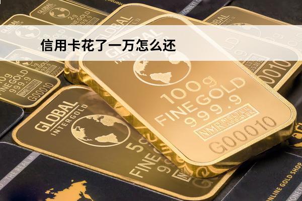 信用卡花了一万怎么还