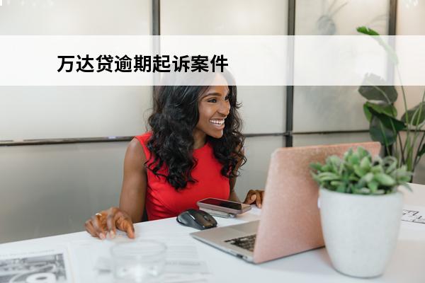 万达贷逾期**案件
