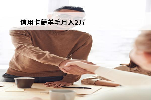 信用卡薅羊毛月入2万