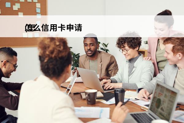 怎么信用卡申请
(怎