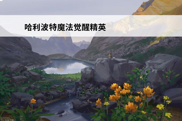 哈利波特魔法觉醒精英