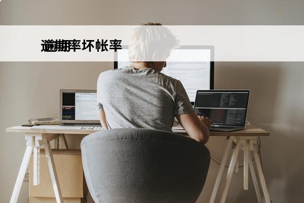 逾期率坏帐率
 逾期