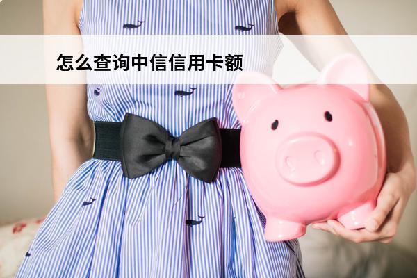 怎么查询中信信用卡额