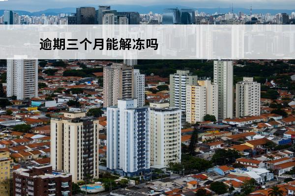 逾期三个月能解冻吗
