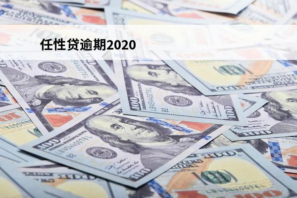 任性贷逾期2020
(任性贷逾期一天严重吗?)