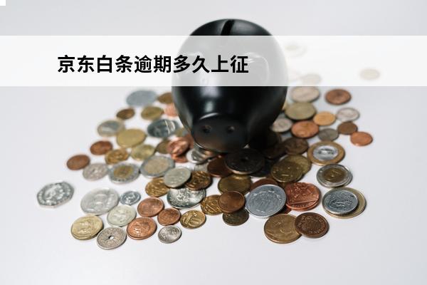 京东白条逾期多久上征